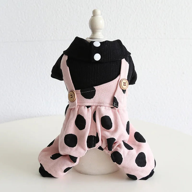 Petstyle lapel collar dog clothing in a four-legged suit style on a model dog.