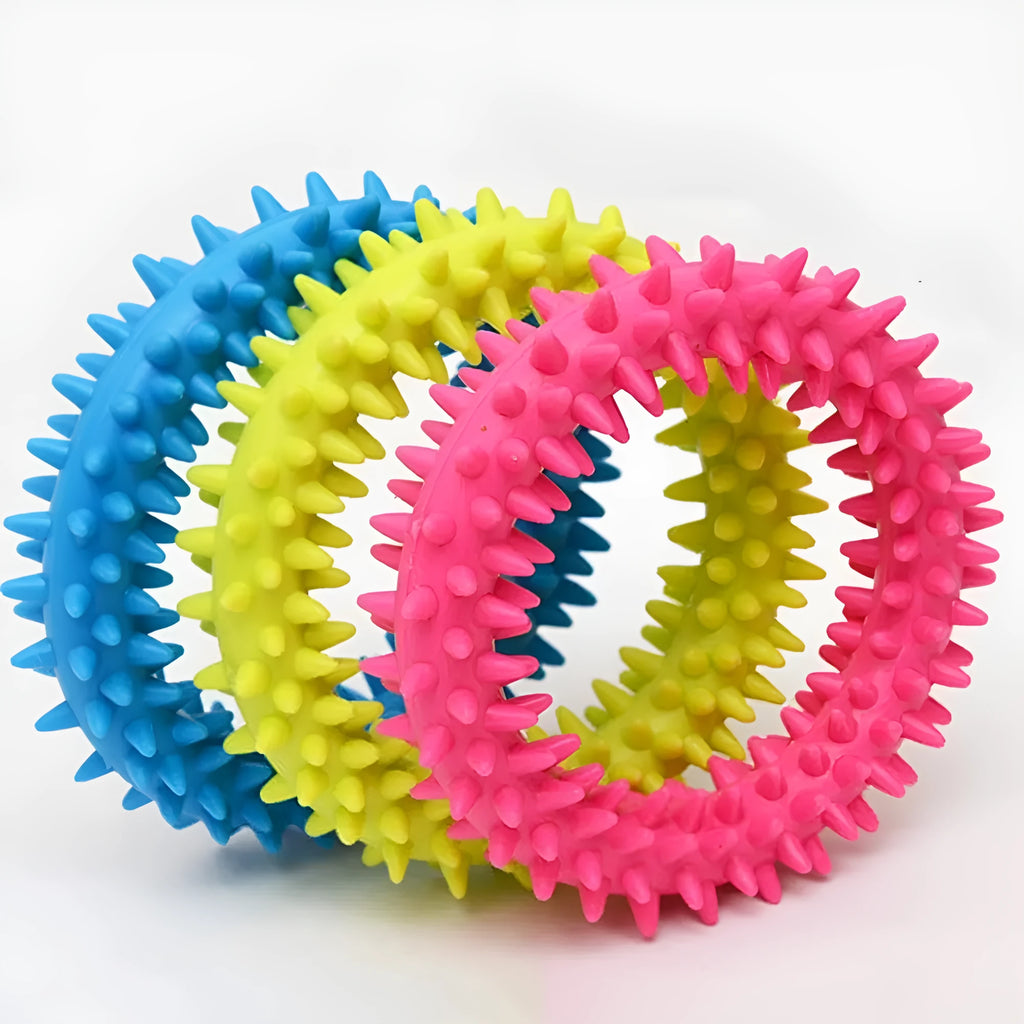 TPR spiky circle ring dog chew toy with dental cleaning nubs in blue colour