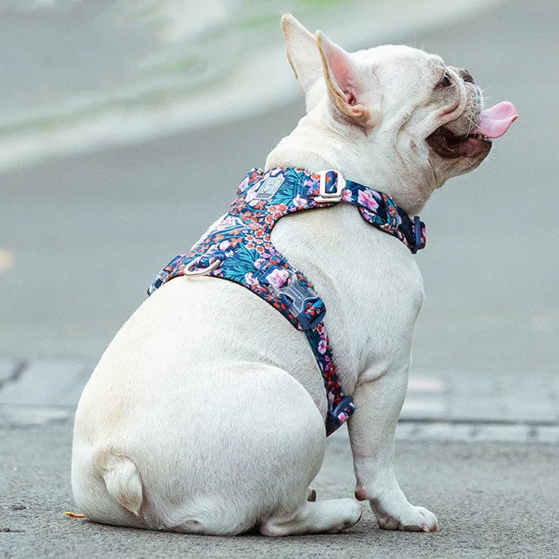 Floral pattern pure cotton dog chest harness shown on a model, demonstrating the pull-resistant strap design.