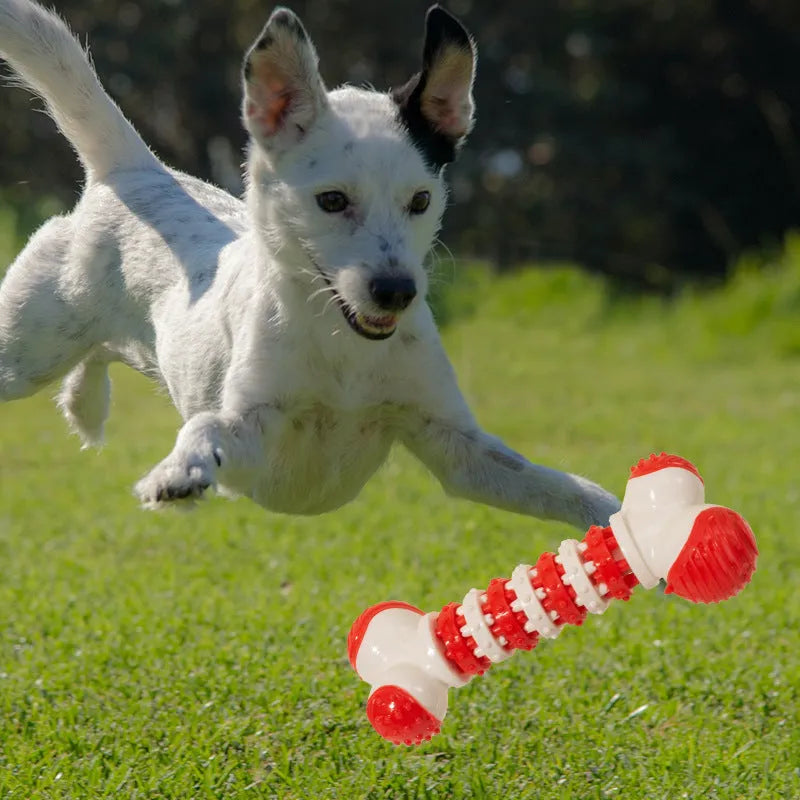 Blue bone-shaped interactive dog toy with treat compartment for small breed teething and chewing