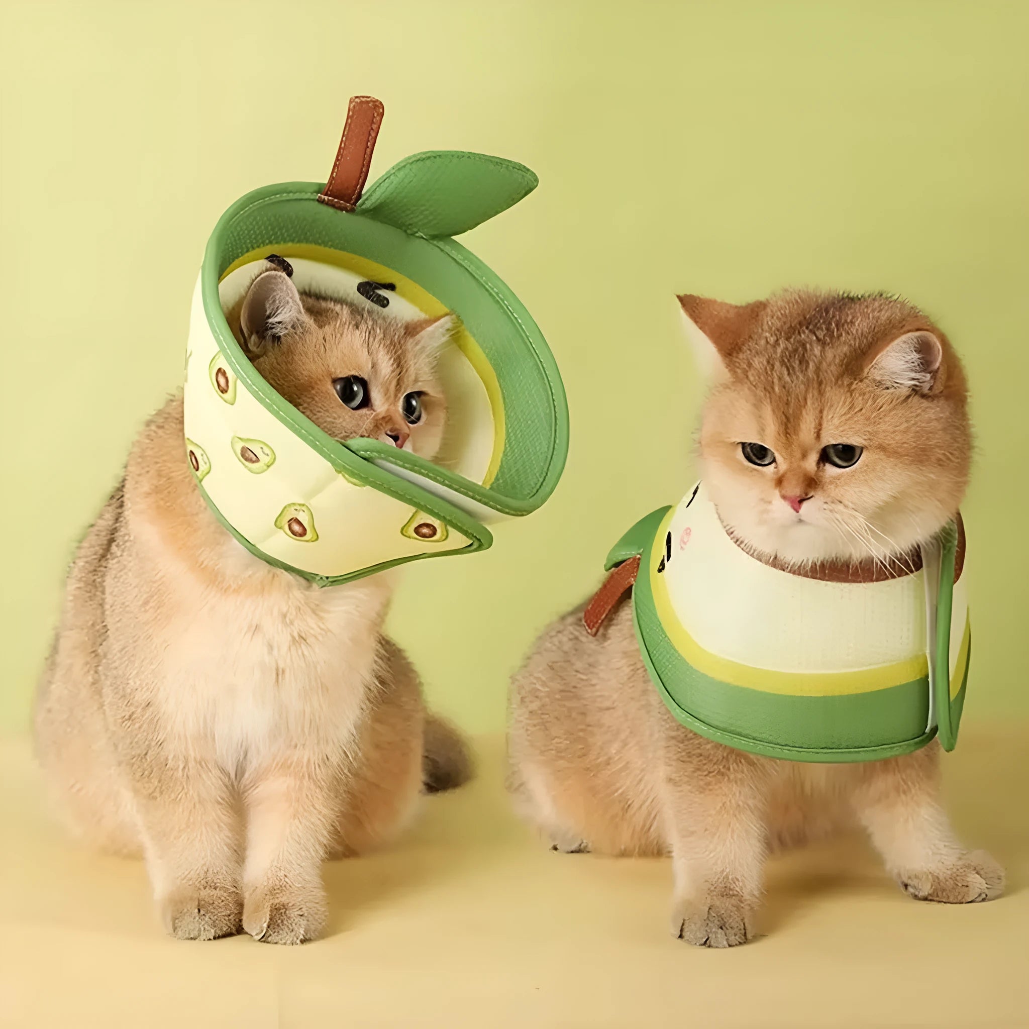 Soft grey EPE foam cat recovery cone collar with an adjustable white strap and folding edges.