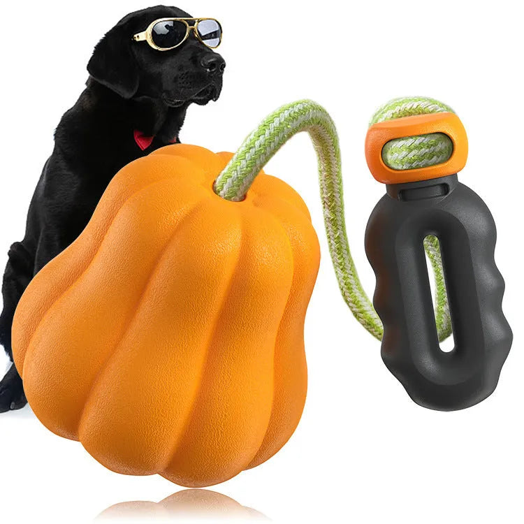 Plastic molar-shaped dog toy with rope attachment in pumpkin colour