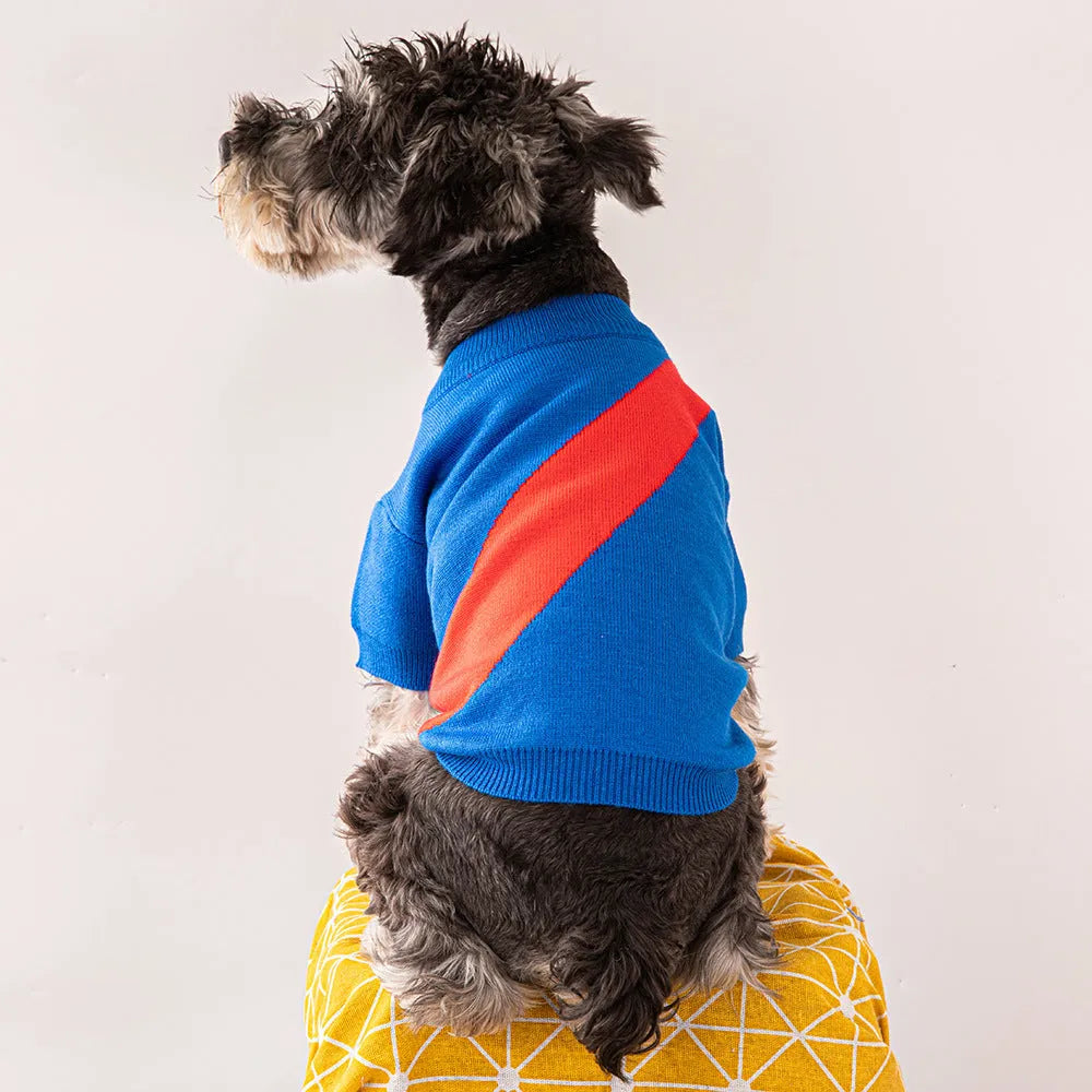 Wool knit dog sweater for corgis and poodles in assorted colours and sizes on a mannequin.