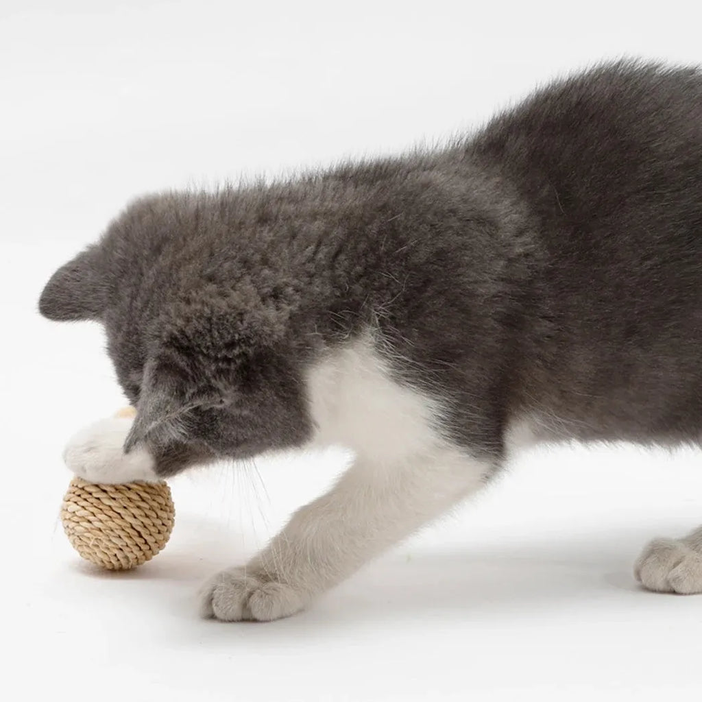 Two cat toys: hollow rattan ball with bell and colourful faux feather ball with plumes