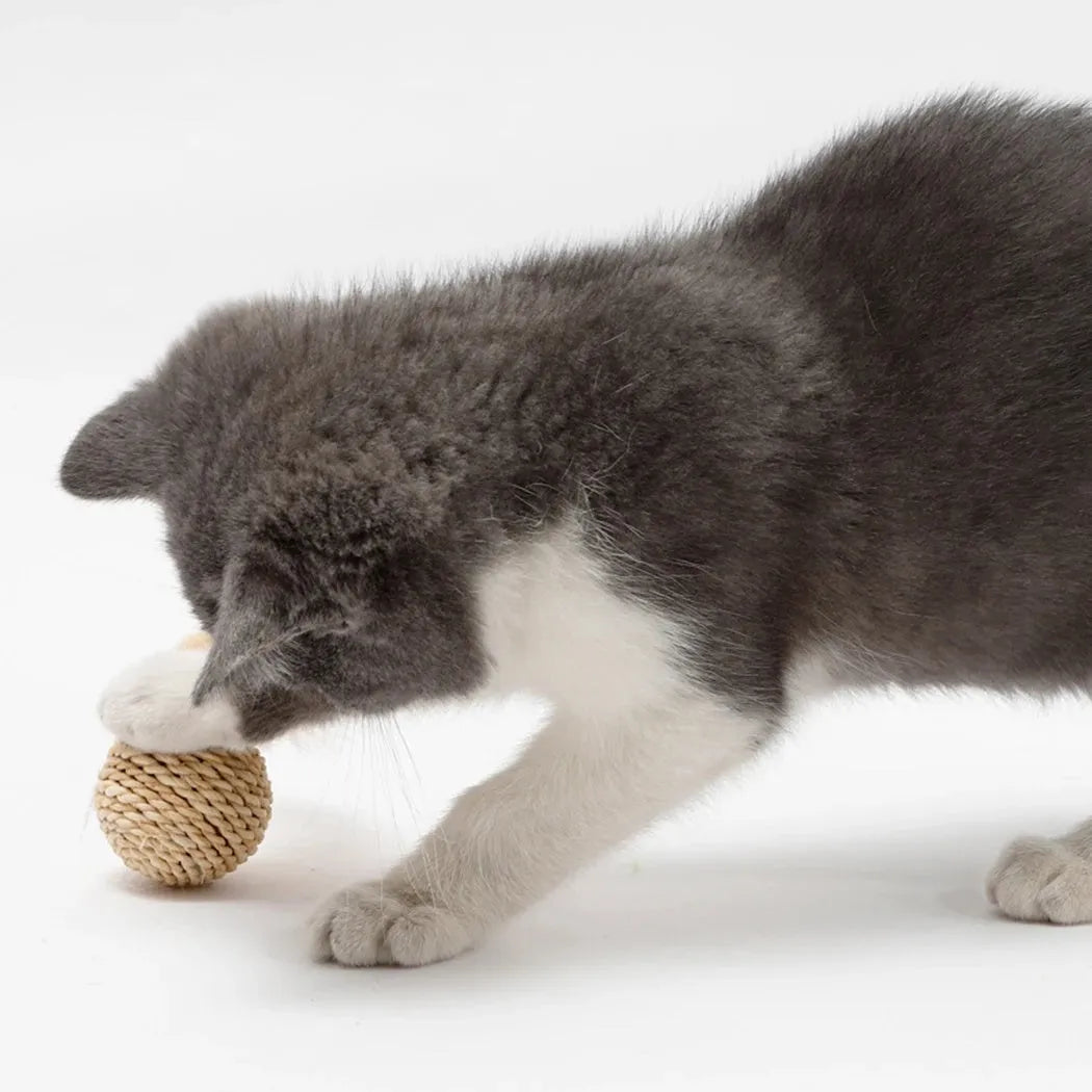 Two cat toys: hollow rattan ball with bell and colourful faux feather ball with plumes