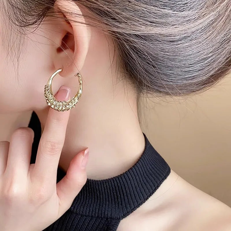 Alloy Hoop Earrings with Electroplated Finish Geometric Shape F247-A Large Hoop Earrings for Women Delicate Personality Ornament Statement Jewellery Pair