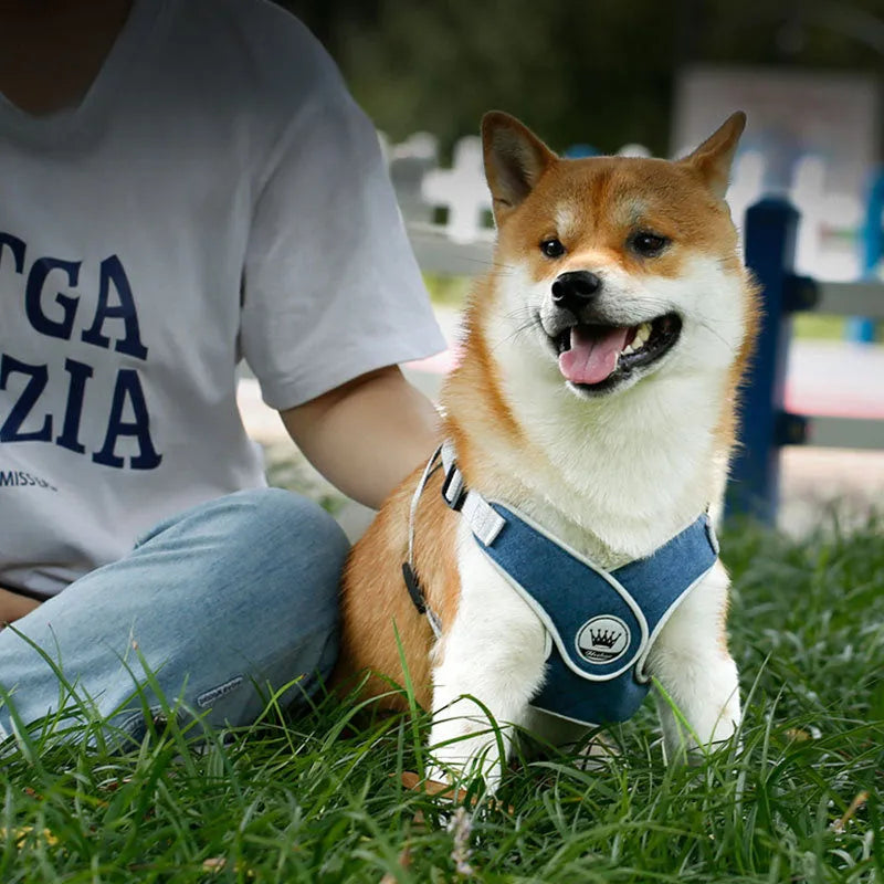 Adjustable reflective dog harness vest in breathable mesh material with metal control ring