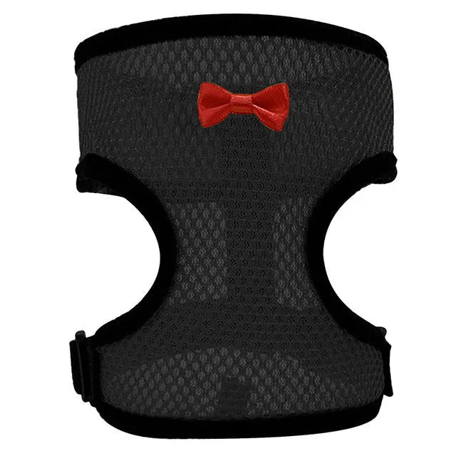 Poultry chicken harness and vest set in chosen colour with adjustable collar and 110cm traction rope.