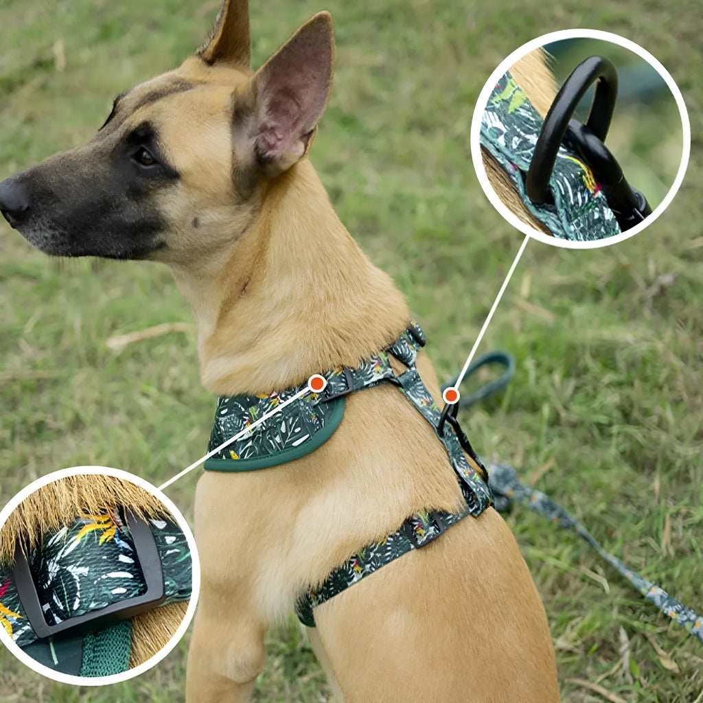Adjustable cloth pet vest harness set with haulage rope, collar, waste bag, bow tie, and triangular scarf in six-piece package.