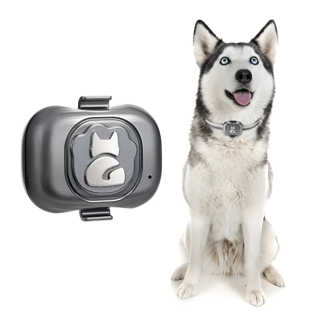 Black GF-07 pet GPS locator device with hanging rope for dog or cat collar attachment.