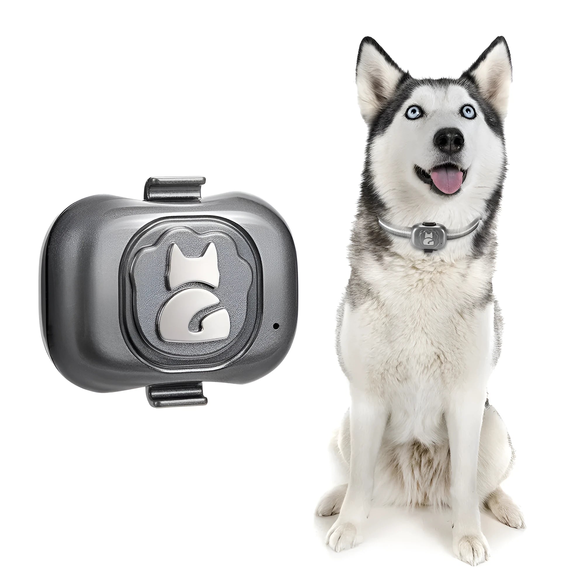 Black GF-07 pet GPS locator device with hanging rope for dog or cat collar attachment.
