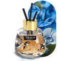 Glass bottle car air freshener ornament with loose incense diffuser in six scent varieties