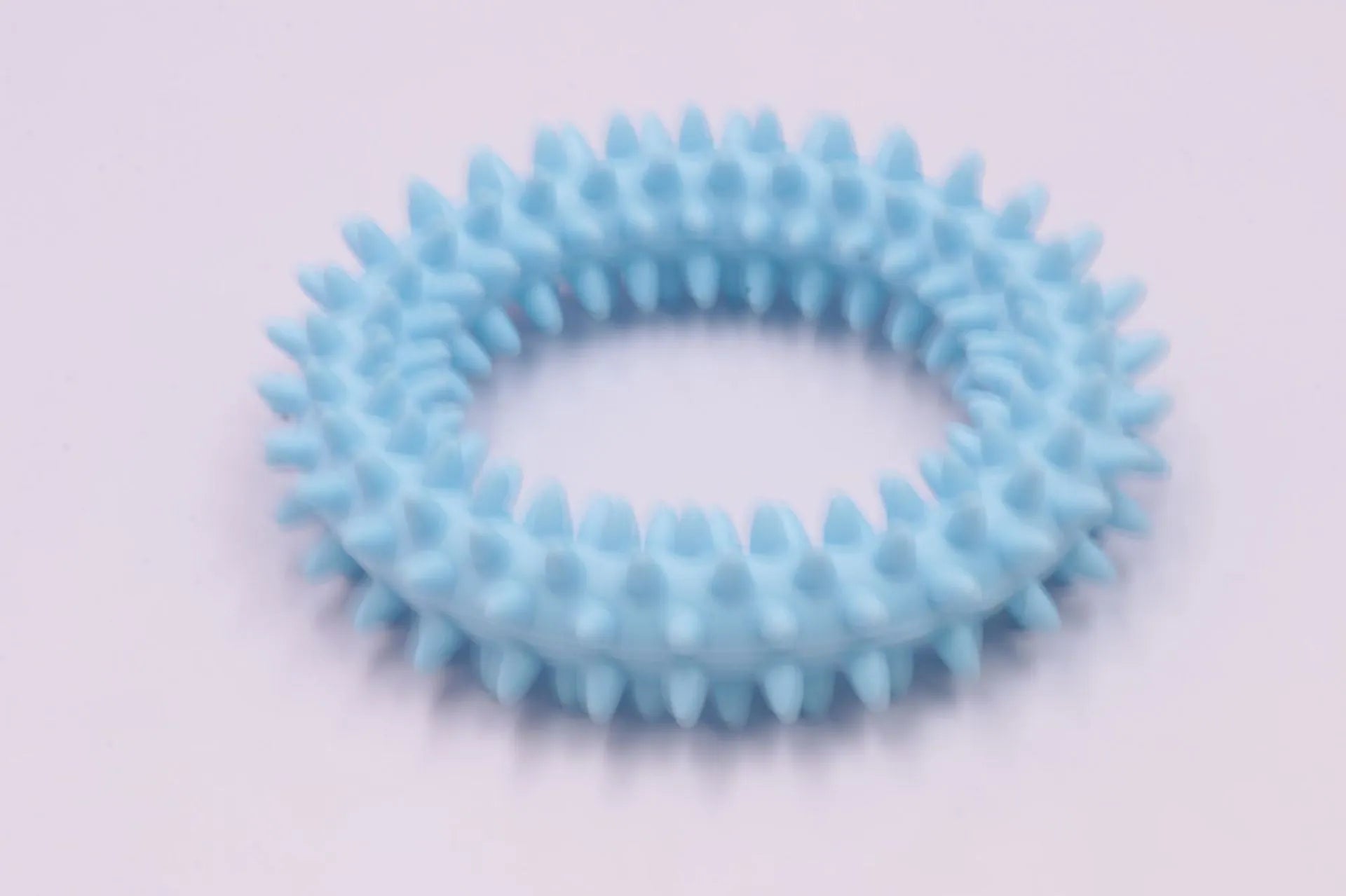 TPR spiky circle ring dog chew toy with dental cleaning nubs in blue colour
