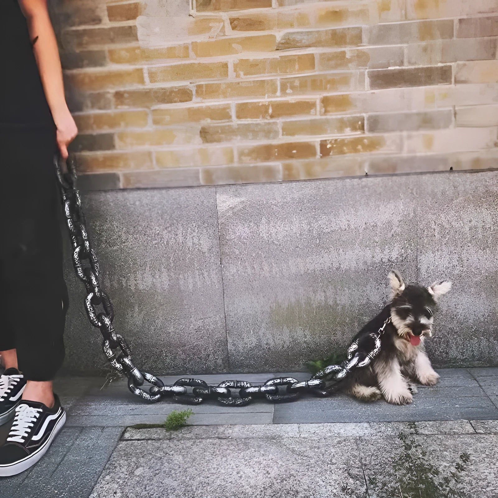 Simulated rough dog leash prop in bronze colour on a plain background