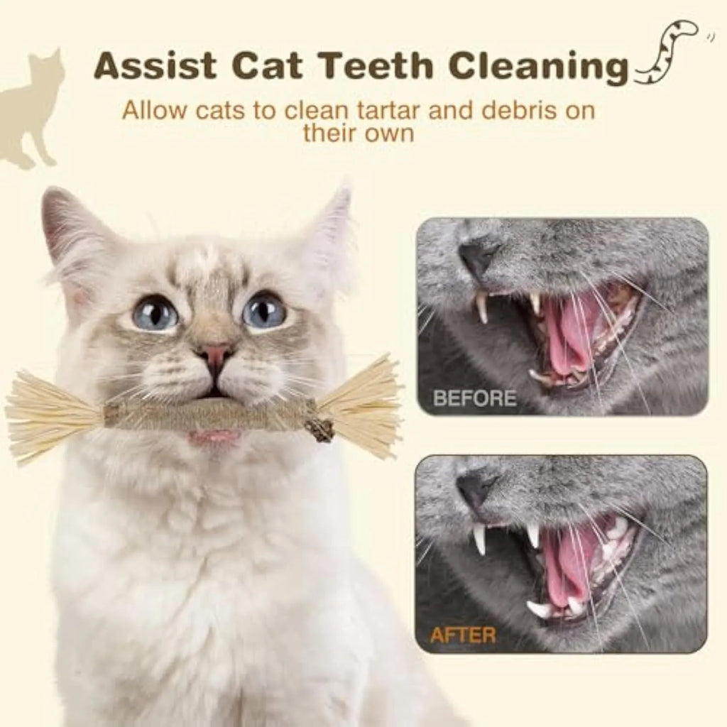 Three natural silvervine chew sticks for cats with sisal rope, shown with Fine and Thick diameter options.
