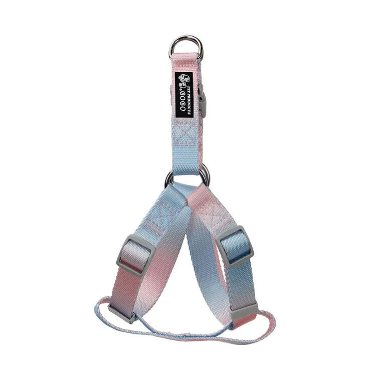 Gradient colour nylon dog leash in pink and yellow, shown as a collar-style lead.
