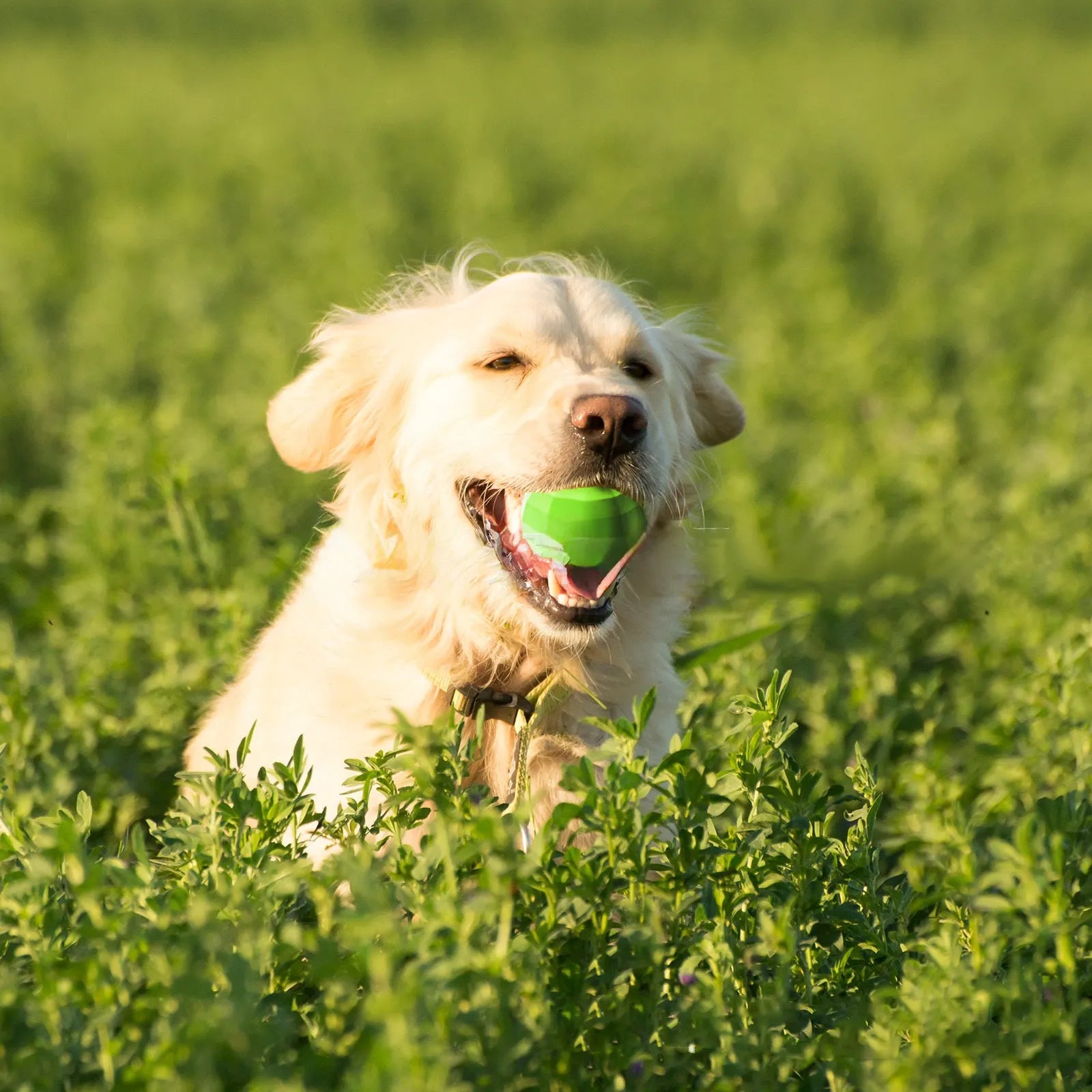Green natural rubber squeaky dog ball toy for aggressive chewers, shown with dimensions 90mm.