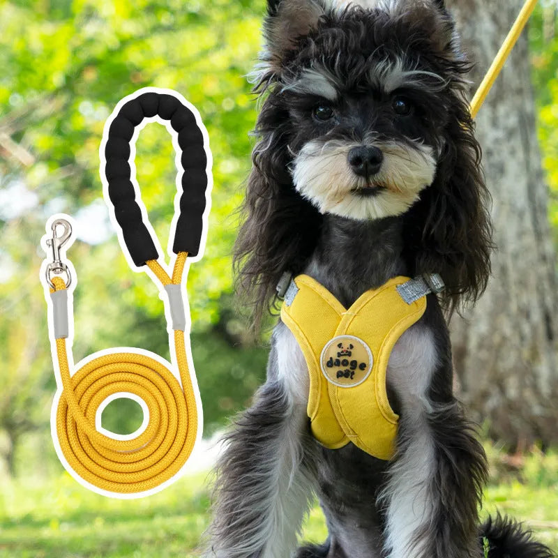 Adjustable dog harness and leash set in blue polyester with vest and hand-holding rope