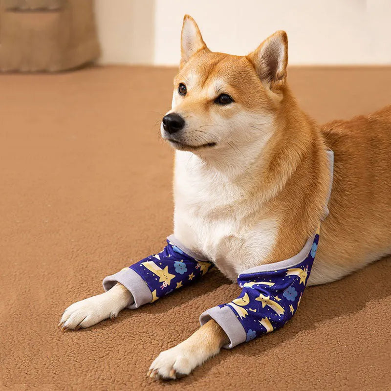 Blue dog knee protector wrap with thick elbow padding and adjustable plastic buckle, shown with coordinating scarf