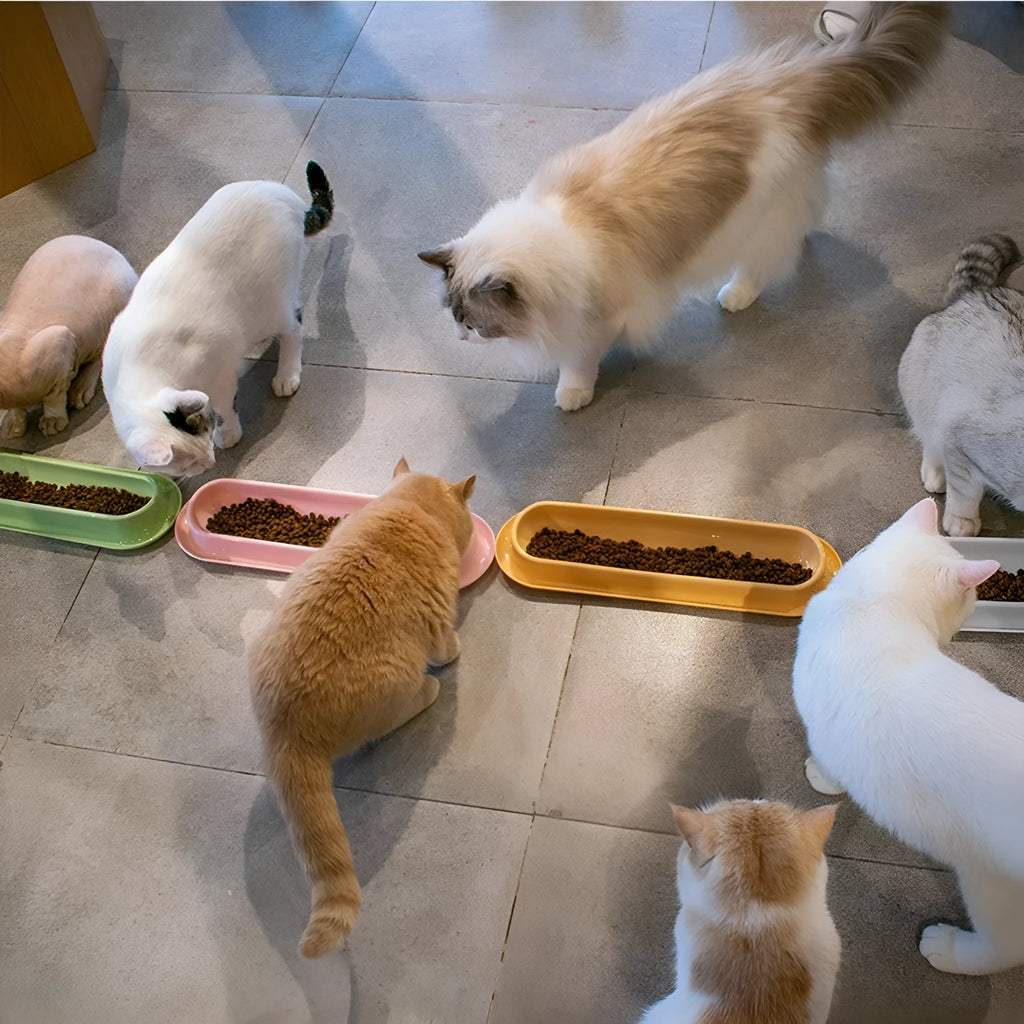 Green leakproof pet bowl set with raised feeding platform for dogs or cats.