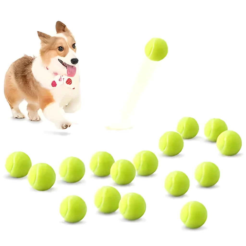 6.3cm rubber dog tennis ball in bright colours for bite-resistant fetch and training
