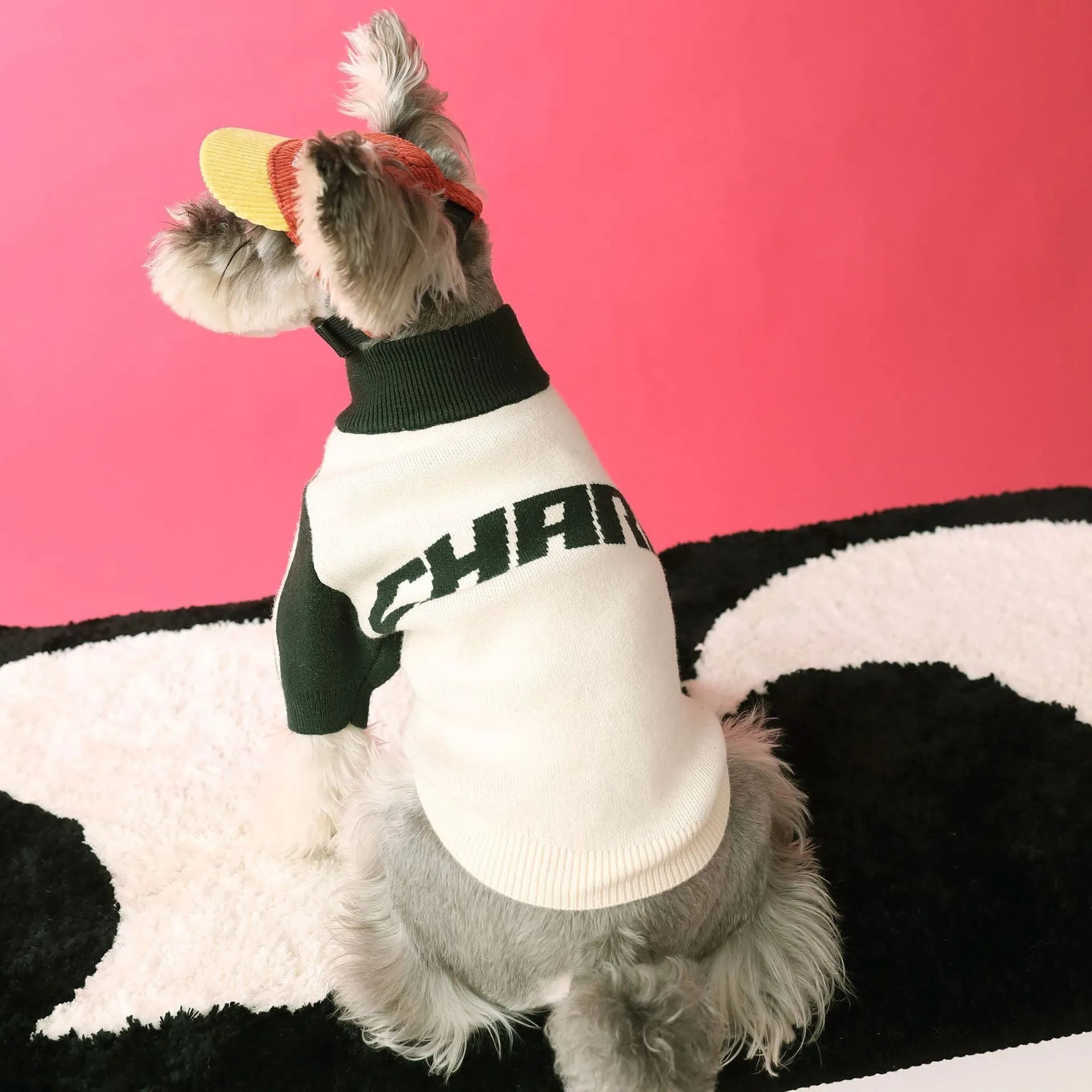 Dark green wool sports sweater cardigan for medium-sized dog on white background