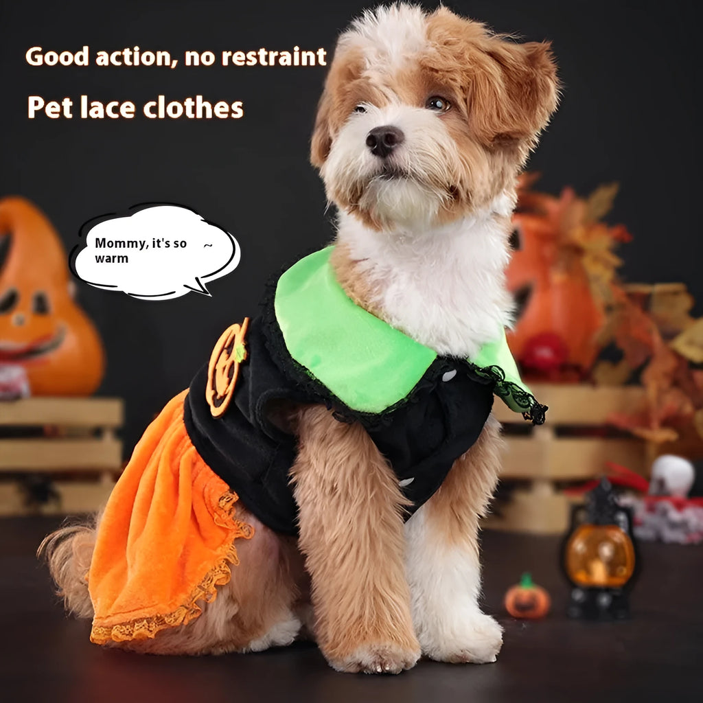 Crystal velvet Halloween pumpkin skirt costume for dogs and cats on mannequin