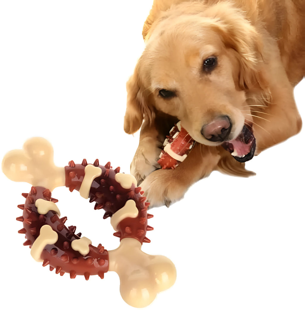 Natural rubber bone-shaped dog molar chew toy shown in two sizes for teeth grinding