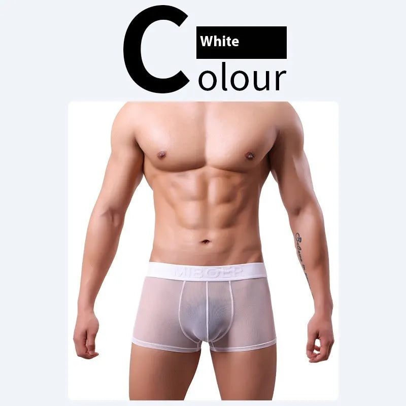 Men's thin invisible breathable boxer shorts in quick drying polyester fabric showing colour options