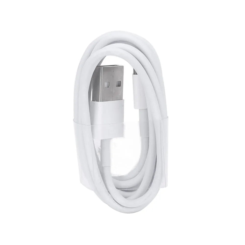 White 5V 2A USB wall charger and cable compatible with iPhone 5 6 X and iPad Air Mini