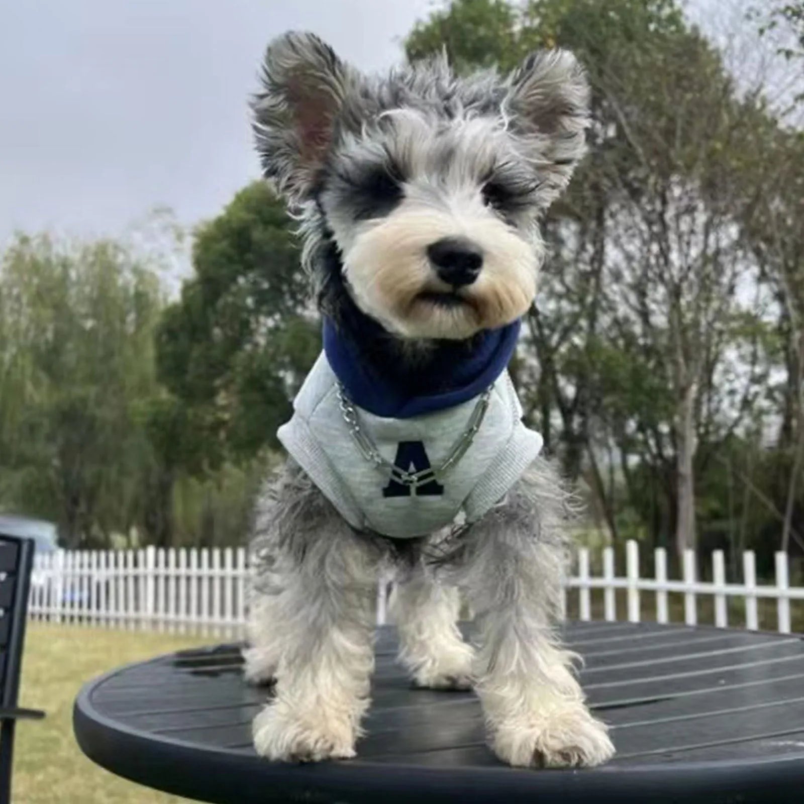 Blue and grey-white reflective letter pet hoodie for cats and dogs on mannequin