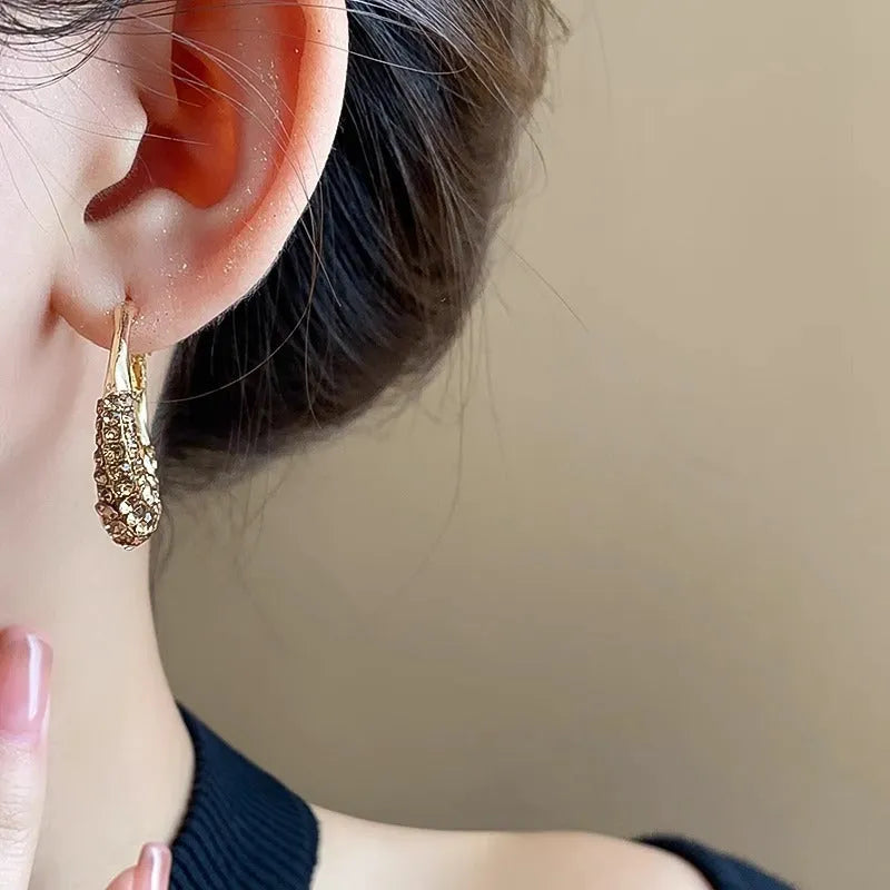 Alloy Hoop Earrings with Electroplated Finish Geometric Shape F247-A Large Hoop Earrings for Women Delicate Personality Ornament Statement Jewellery Pair