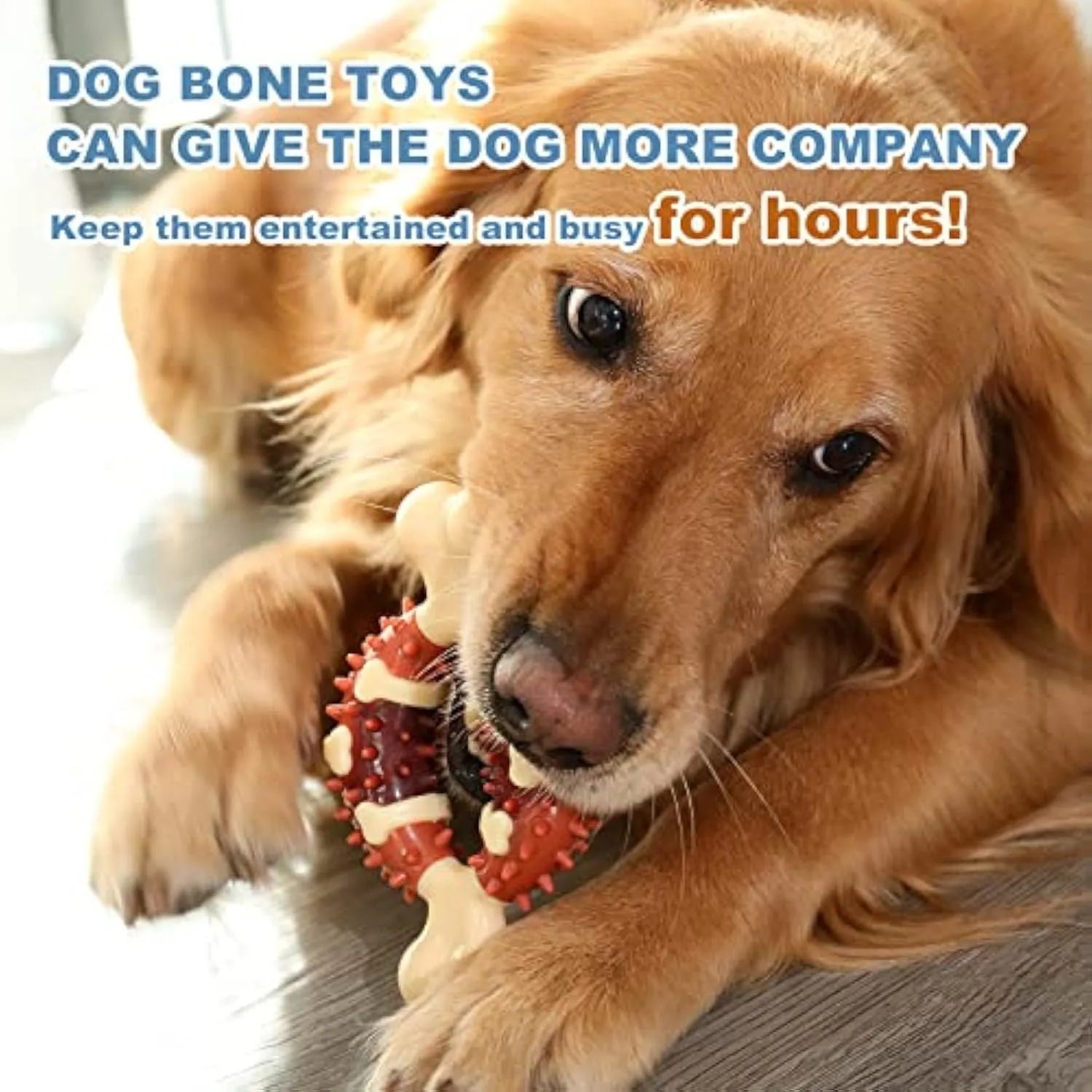 Natural rubber bone-shaped dog molar chew toy shown in two sizes for teeth grinding