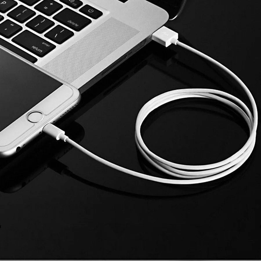 White 5V 2A USB wall charger and cable compatible with iPhone 5 6 X and iPad Air Mini