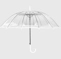Big Long Handle 16 Rib Transparent Umbrella with POE Fabric Canopy Black Steel Skeleton ABS Plastic Handle for Rain Protection Black White Colour Options