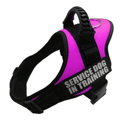 A reflective adjustable dog harness vest shown on a dog, with a handle and D-ring for leash attachment.