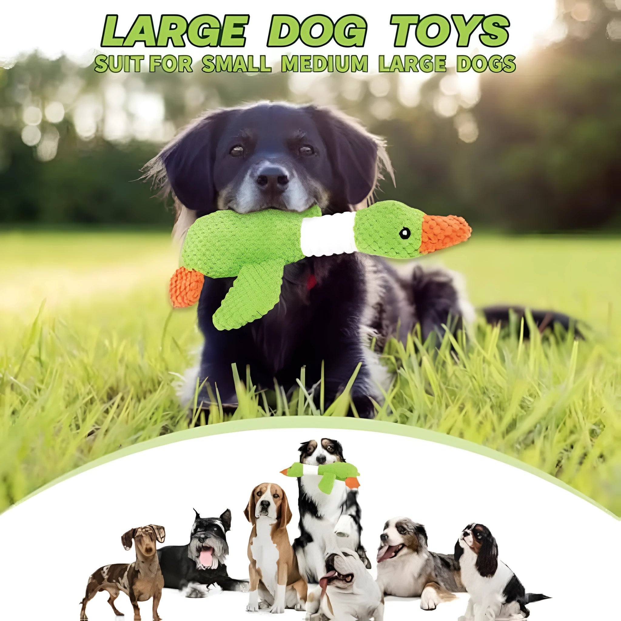 Blue durable dog plush duck toy with squeakers for large breed dogs
