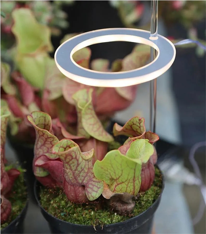 USB LED plant growth light with transparent housing and acrylic mounting stick