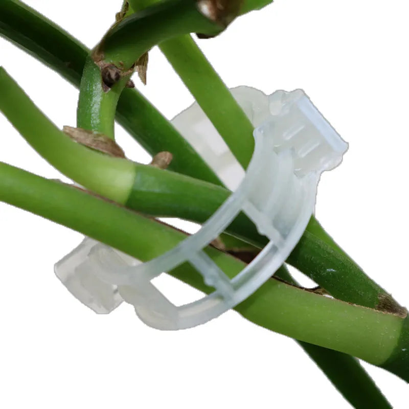 A pack of 50 plastic plant support and grafting clips for garden use.
