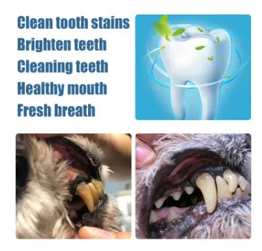 Yegbong pet teeth whitening pen for dogs and cats with dental brushes