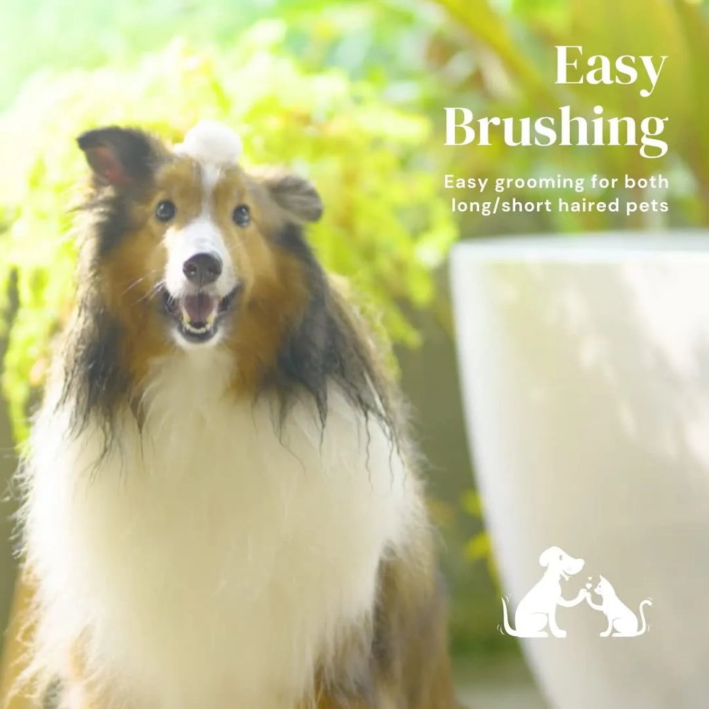 Blue self-cleaning pet grooming brush with rubber handle and stainless steel pins on a white background.
