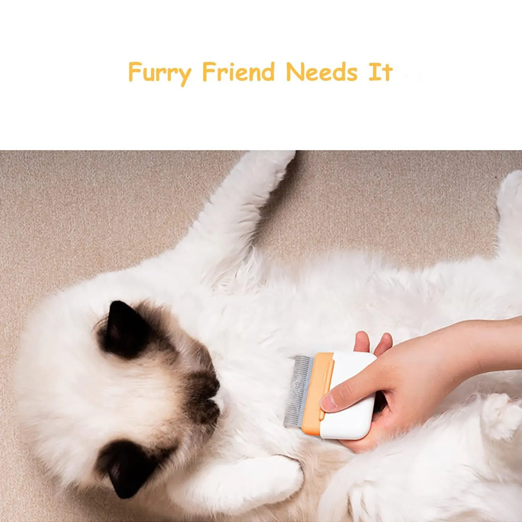 Blue double-sided pet grooming comb for cats and dogs with stainless steel teeth