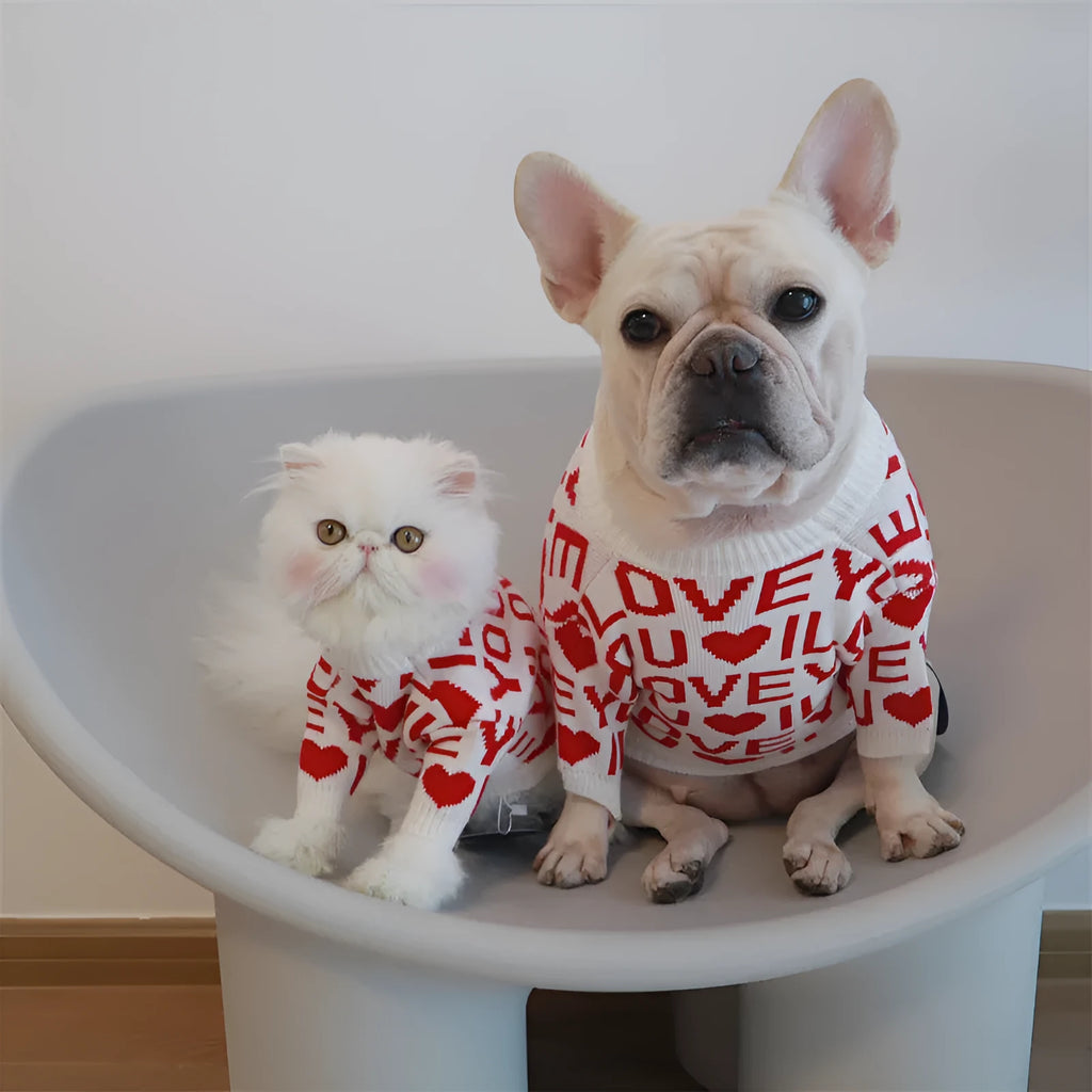 Red dog padded warm sweater made from rabbit velvet core-spun yarn on white background