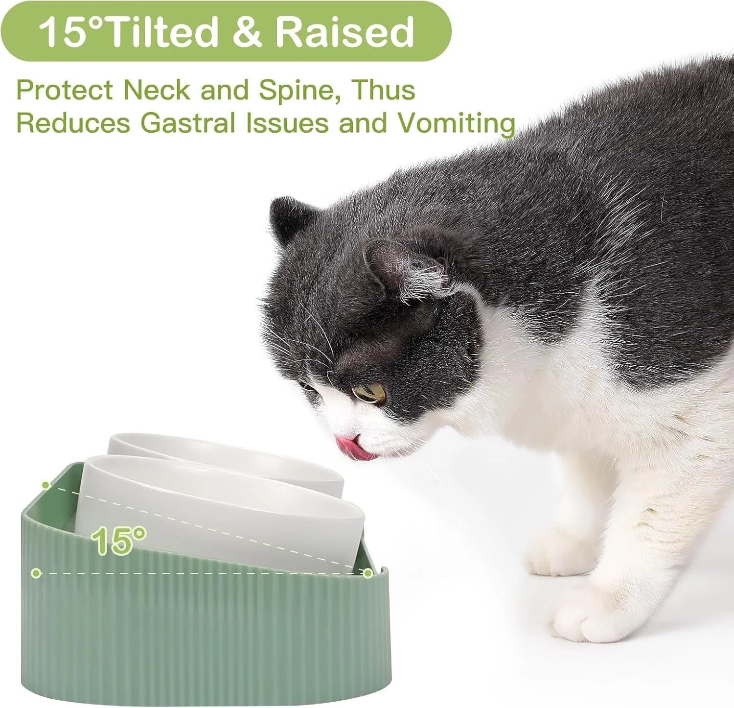 Ceramic elevated cat bowls with 15-degree tilted stand in green, white, or yellow colours