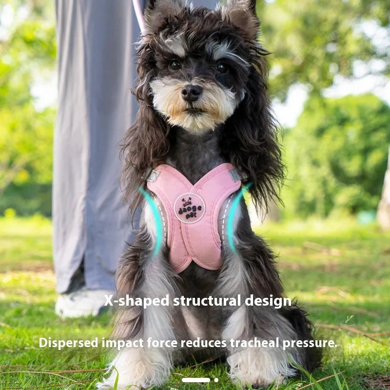 Adjustable dog harness and leash set in blue polyester with vest and hand-holding rope