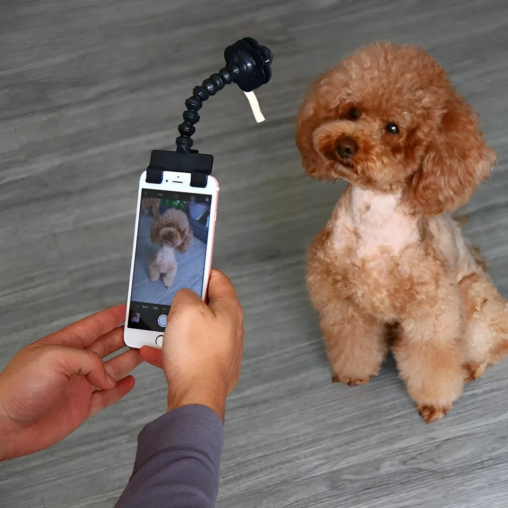 Black and white pet selfie stick with extendable 14.6cm PVC pole, square clip, and flower clip for mobile phone pet photography