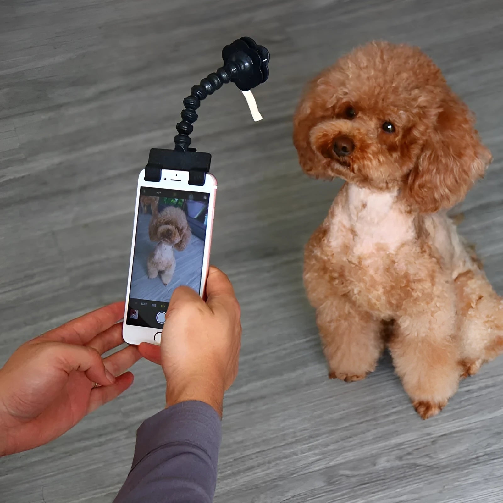 Black and white pet selfie stick with extendable 14.6cm PVC pole, square clip, and flower clip for mobile phone pet photography
