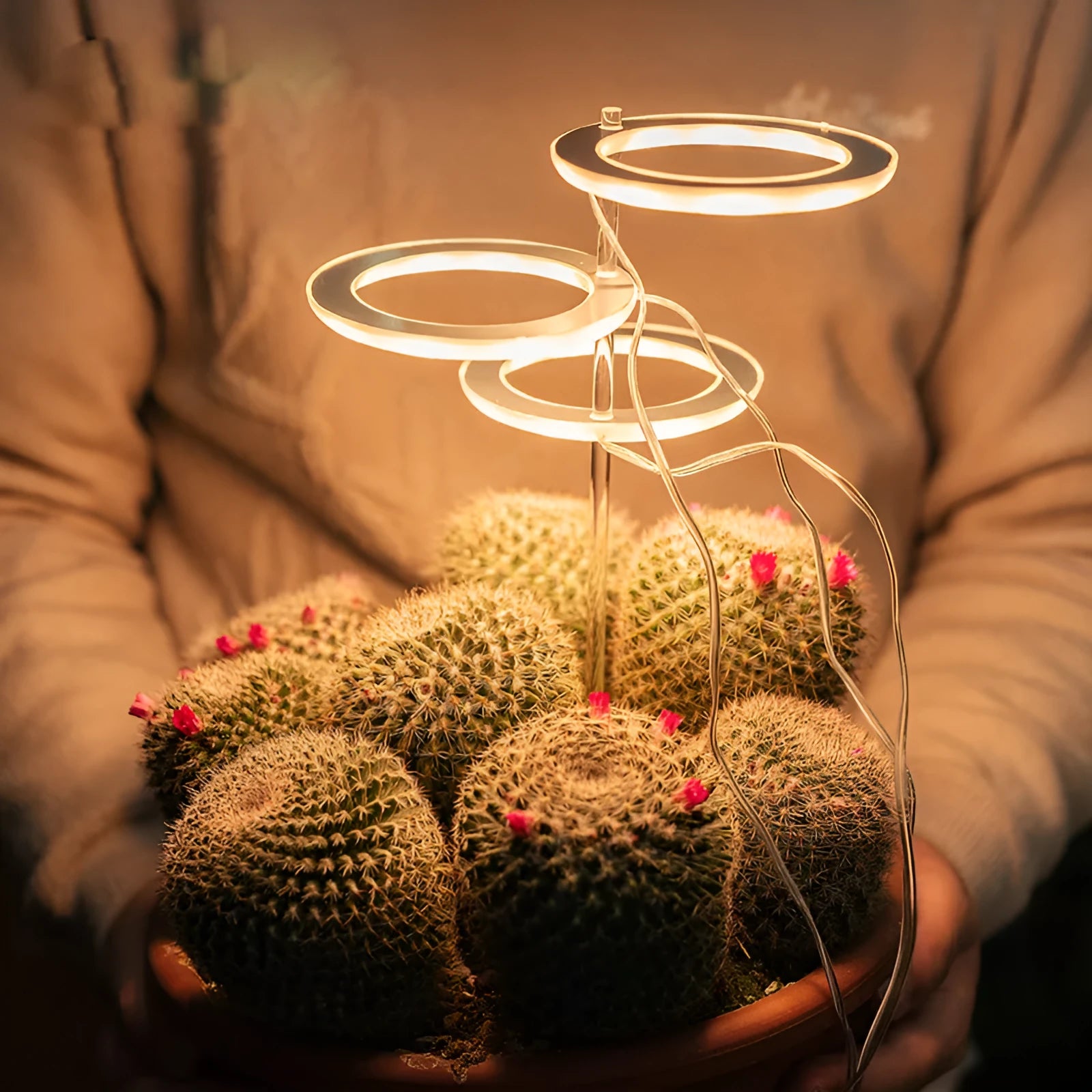 USB LED plant growth light with transparent housing and acrylic mounting stick