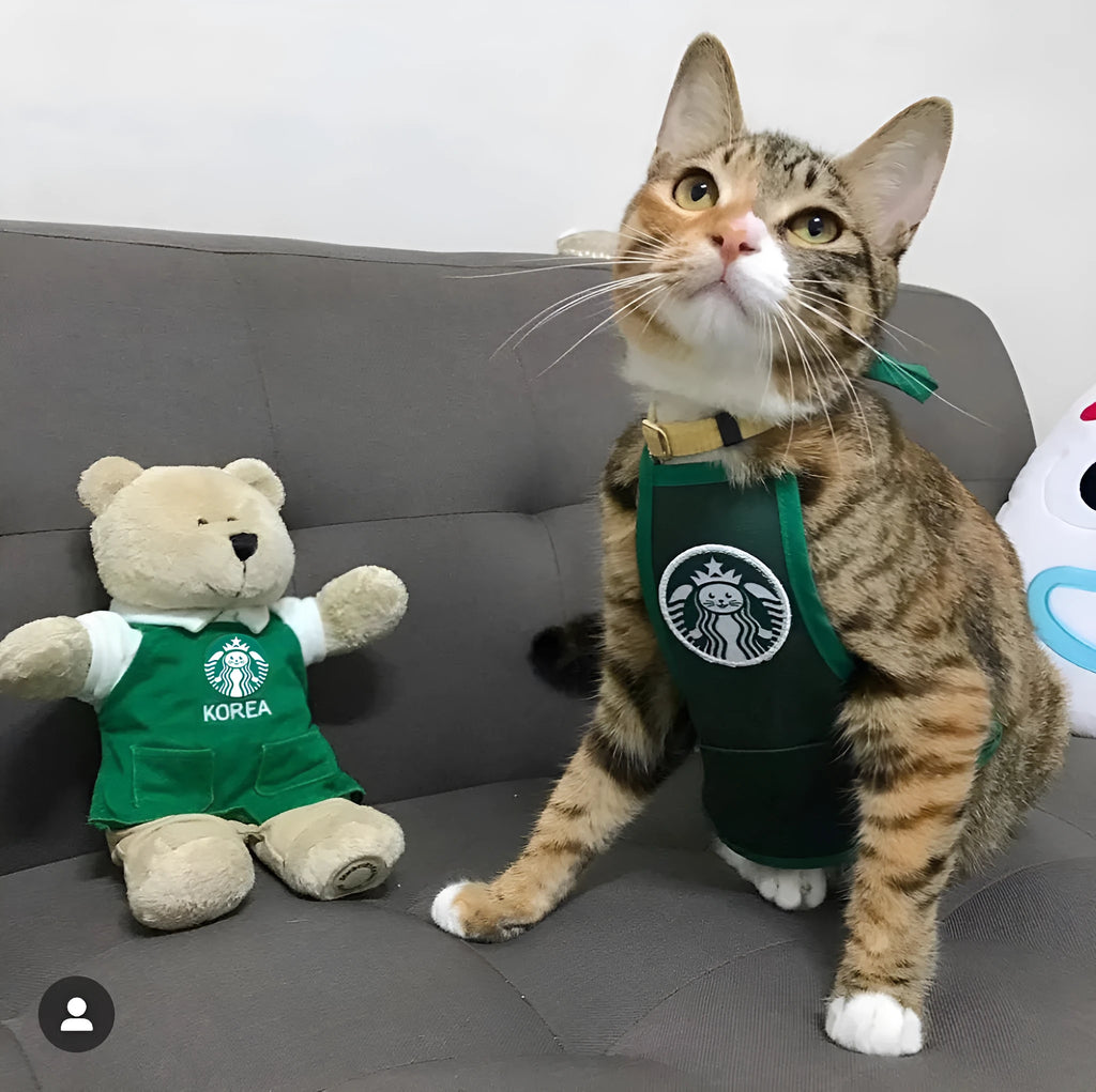 Green Star Cat Ke bib apron on a cat, 100% cotton hand-knitted pet drool towel with star pattern