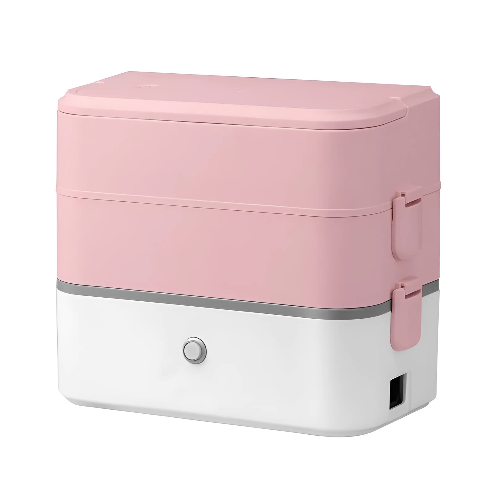 Double-layer portable heated lunch box with stainless steel tanks and plastic housing